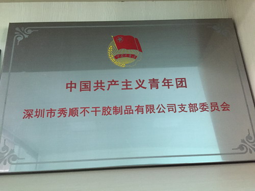 中国共产主义青年团支部委员会